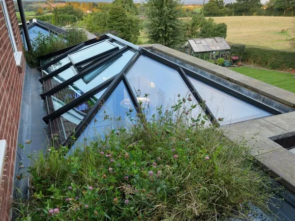 Roof Lantern Extension